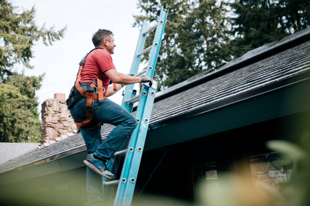 Best Roof Moss and Algae Removal  in Abingdon, VA